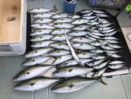 エムズジャーク(M’s JERK) 釣果