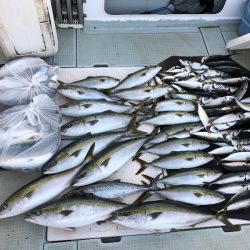 エムズジャーク(M’s JERK) 釣果