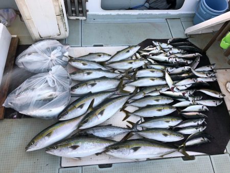 エムズジャーク(M’s JERK) 釣果