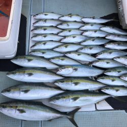 エムズジャーク(M’s JERK) 釣果