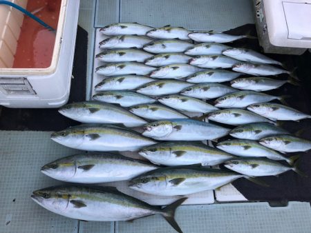 エムズジャーク(M’s JERK) 釣果