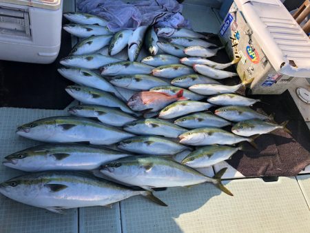 エムズジャーク(M’s JERK) 釣果