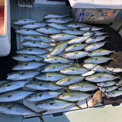 エムズジャーク(M’s JERK) 釣果