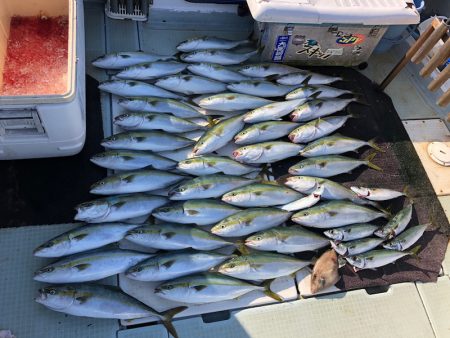 エムズジャーク(M’s JERK) 釣果