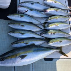 エムズジャーク(M’s JERK) 釣果