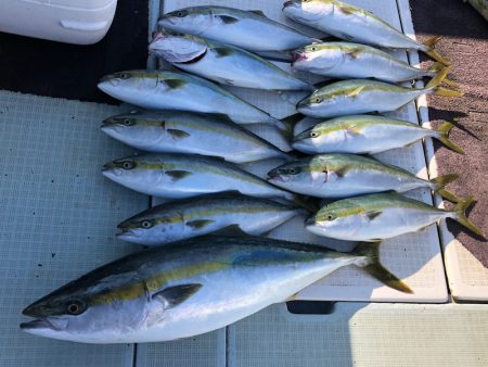 エムズジャーク(M’s JERK) 釣果