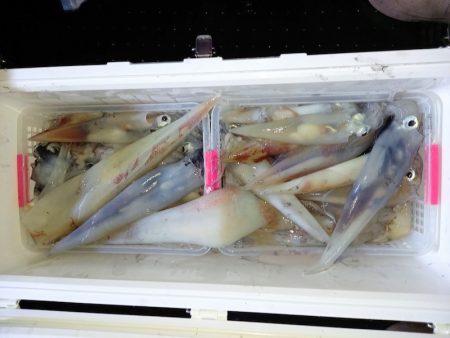 第二龍勢丸 釣果