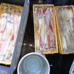 第二龍勢丸 釣果