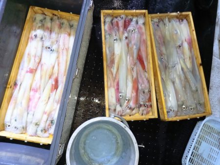 第二龍勢丸 釣果