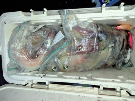 第二龍勢丸 釣果