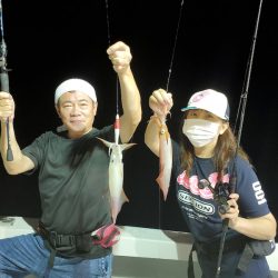 シーライオン 釣果