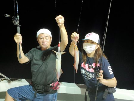 シーライオン 釣果