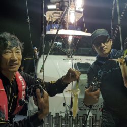 シーライオン 釣果