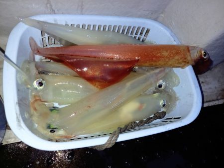 第二龍勢丸 釣果