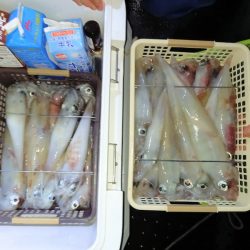 第二龍勢丸 釣果