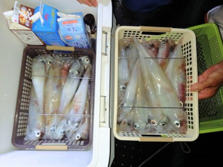 第二龍勢丸 釣果