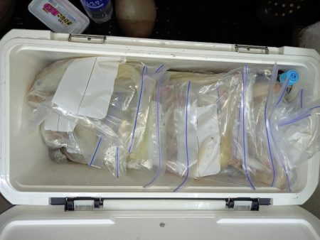 第二龍勢丸 釣果