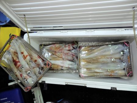 第二龍勢丸 釣果