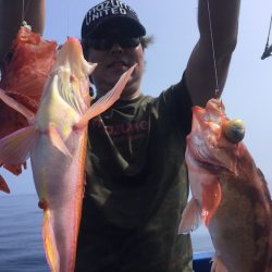敷嶋丸 釣果