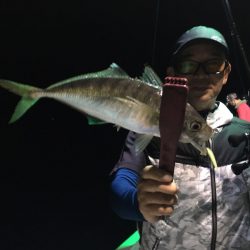 渡船屋たにぐち 釣果