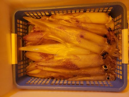 海龍丸（石川） 釣果