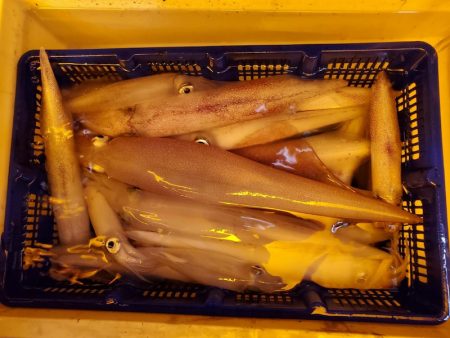 海龍丸（石川） 釣果