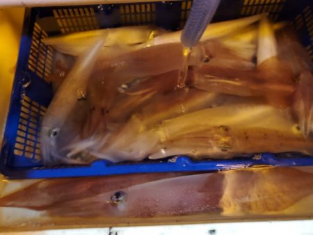 海龍丸（石川） 釣果