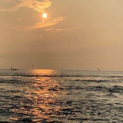 末広丸(熊本) 釣果