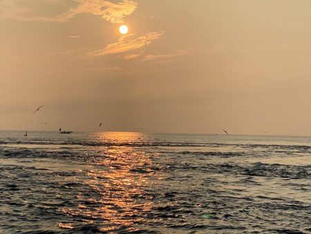 末広丸(熊本) 釣果