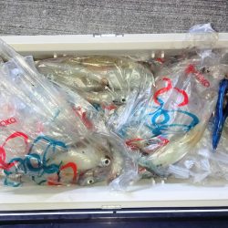 第二龍勢丸 釣果