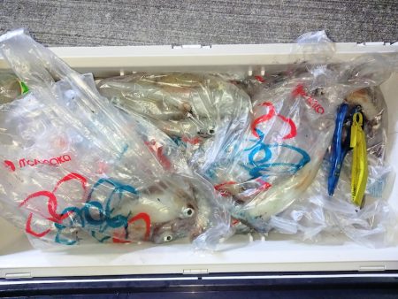 第二龍勢丸 釣果