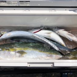 第二八坂丸 釣果