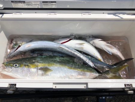 第二八坂丸 釣果