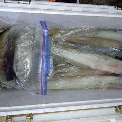 第二龍勢丸 釣果