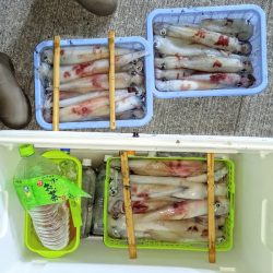 第二龍勢丸 釣果