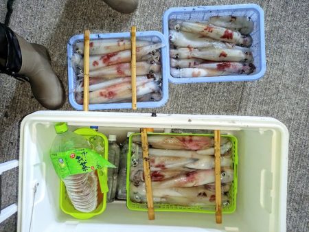 第二龍勢丸 釣果