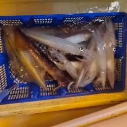 海龍丸(石川) 釣果