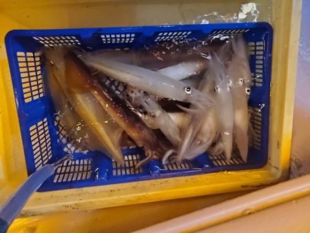 海龍丸(石川) 釣果