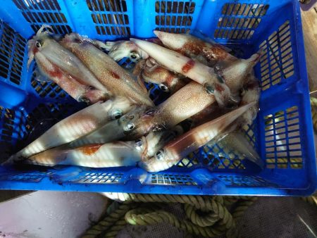 海龍丸（石川） 釣果