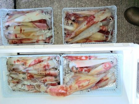 第二龍勢丸 釣果