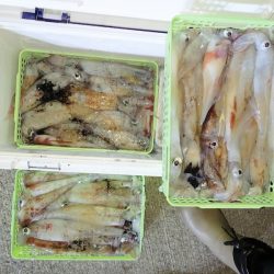 第二龍勢丸 釣果