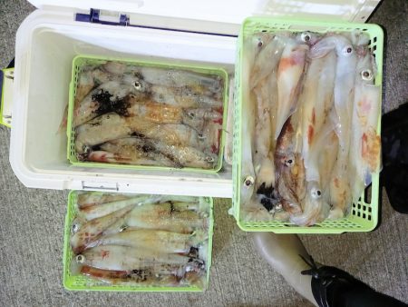 第二龍勢丸 釣果