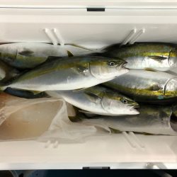 第二八坂丸 釣果