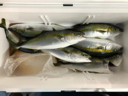 第二八坂丸 釣果