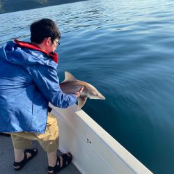 「LaGooN」蒼陽丸 日和号 釣果