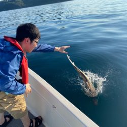 「LaGooN」蒼陽丸 日和号 釣果