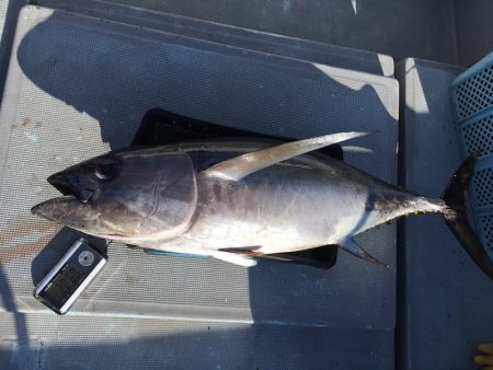 渡船屋たにぐち 釣果