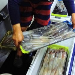 第二龍勢丸 釣果