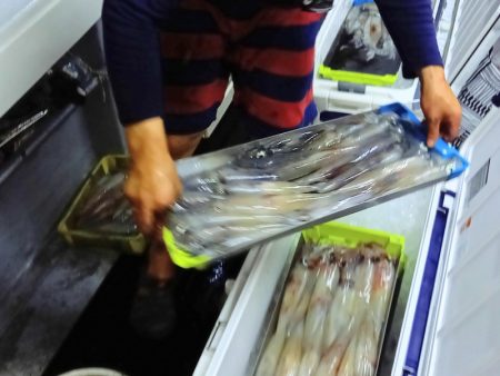 第二龍勢丸 釣果