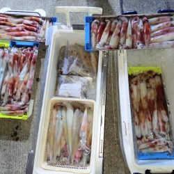 第二龍勢丸 釣果